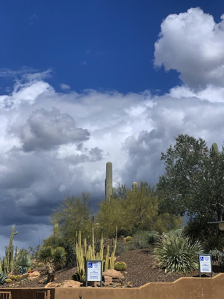 Mar 25 - Remember to look up! Our clouds have been especially magnificent recently.